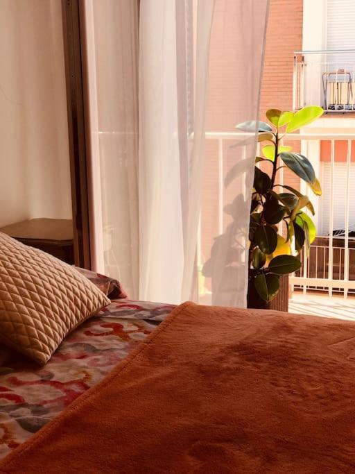 Ekataapartment *